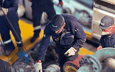 New Installation 2022